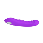 Vibrador de Ponto G Vai e Vem com 14 Modos de Vibração Recarregável