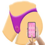 Vibrador Recarregável Para Calcinha Com Imã E Controle Via Aplicativo Á Distância