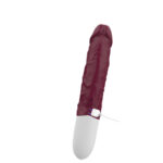 Vibrador Recarregável com Textura Anatômica - Imagem 4